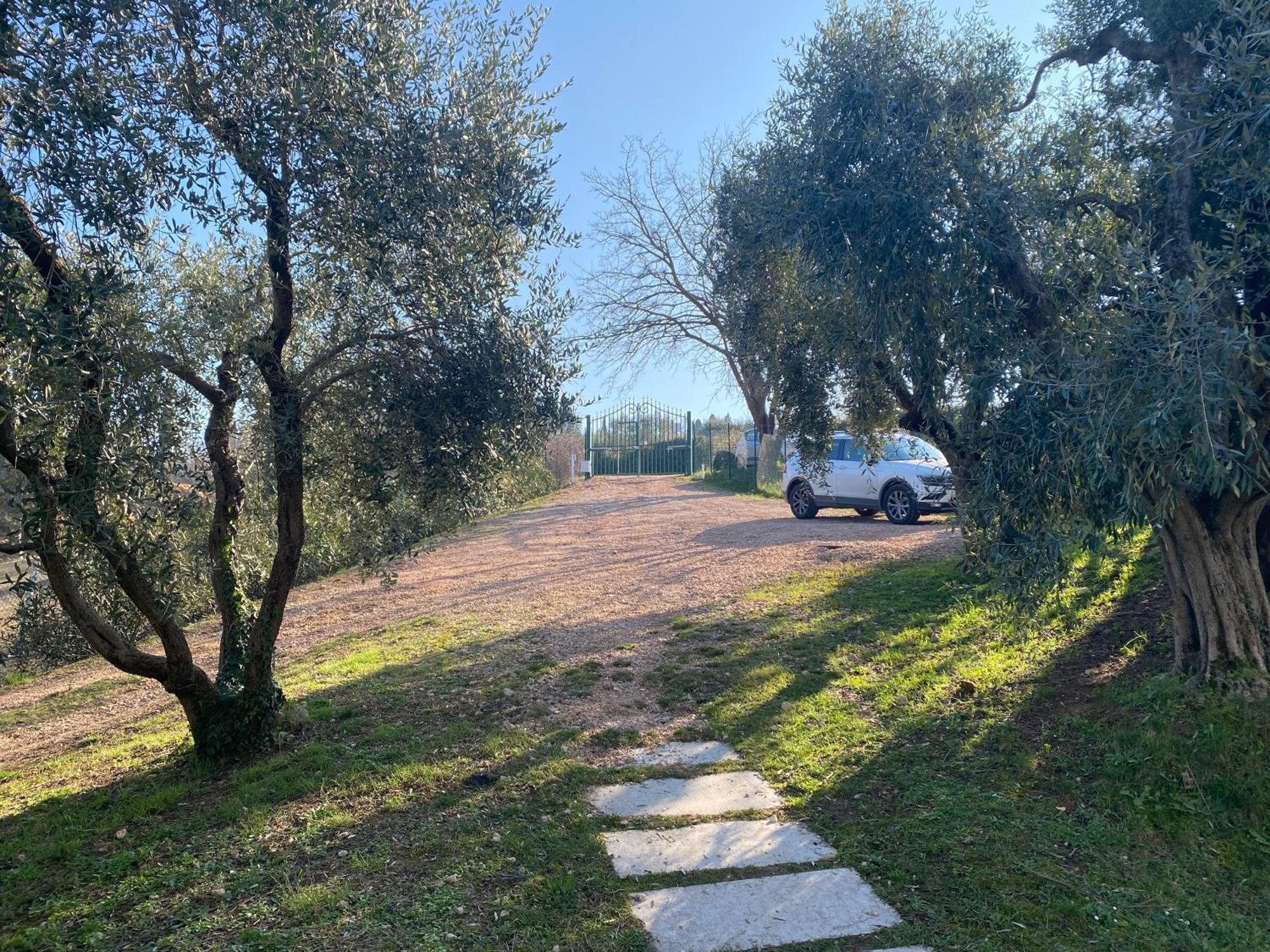 Apartmán Residenza Cipressi E Olivi Verona Exteriér fotografie